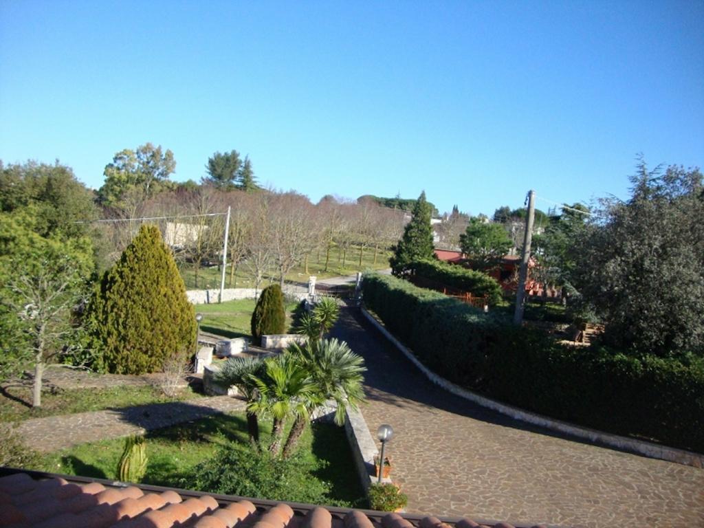 Al Boschetto Bed and Breakfast Putignano Esterno foto